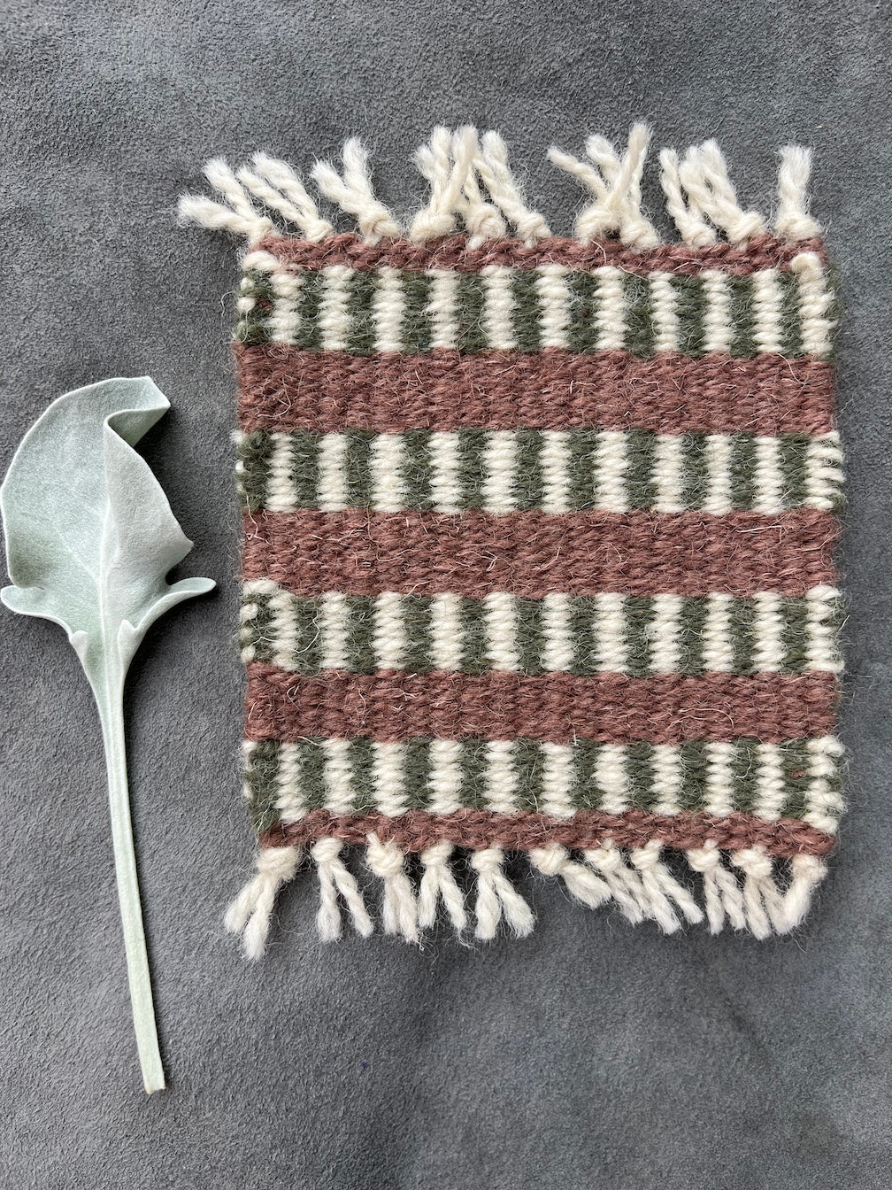 Coaster Set-Sage and Dusty Rose