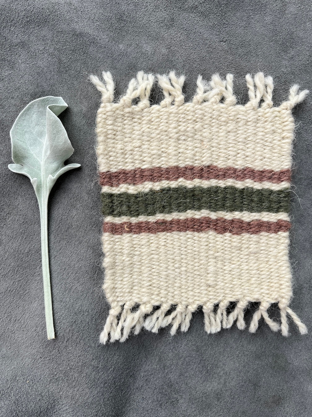 Coaster Set-Sage and Dusty Rose