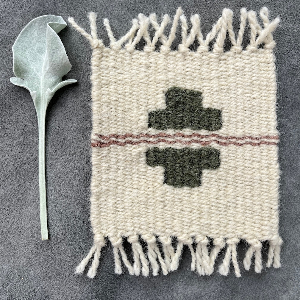 Coaster Set-Sage and Dusty Rose